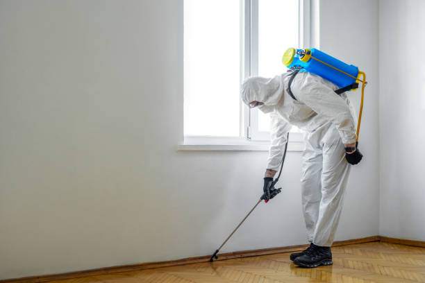 Best Best Pest Control Companies  in Glendale, MS