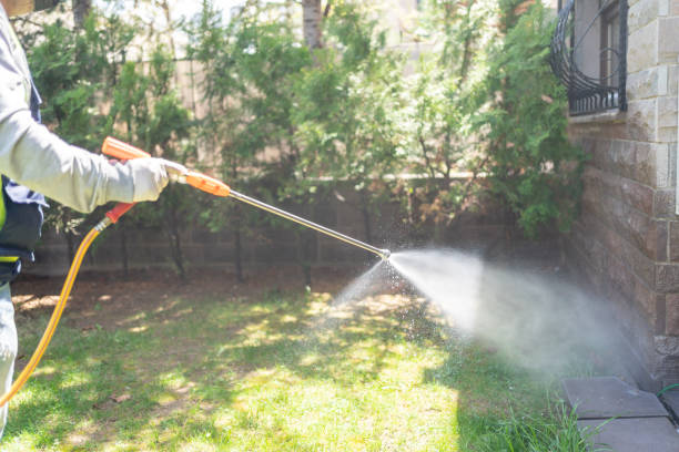 Best Bed Bug Extermination  in Glendale, MS