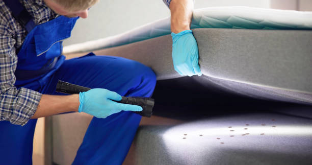 Wasp Removal Services in Glendale, MS